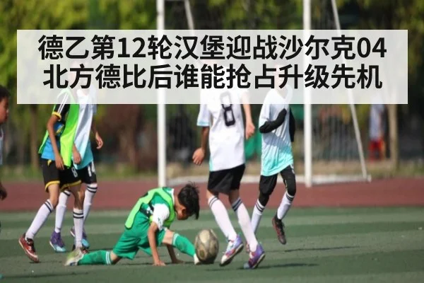 德乙第12轮汉堡迎战沙尔克04 北方德比后谁能抢占升级先机